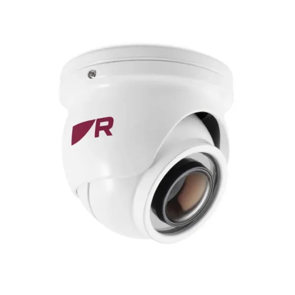 CAM300 Eyeball IP Camera