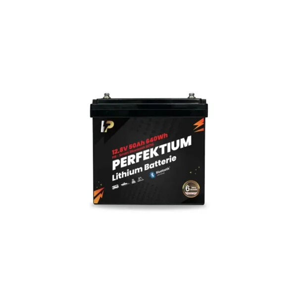 PERFEKTIUM LiFePO4 PB-12,8V 50Ah