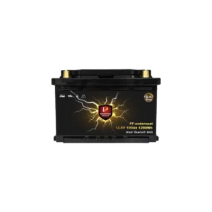 PERFEKTIUM LiFeP04 PF Underseat Battery Smart Bluetooth BMS
